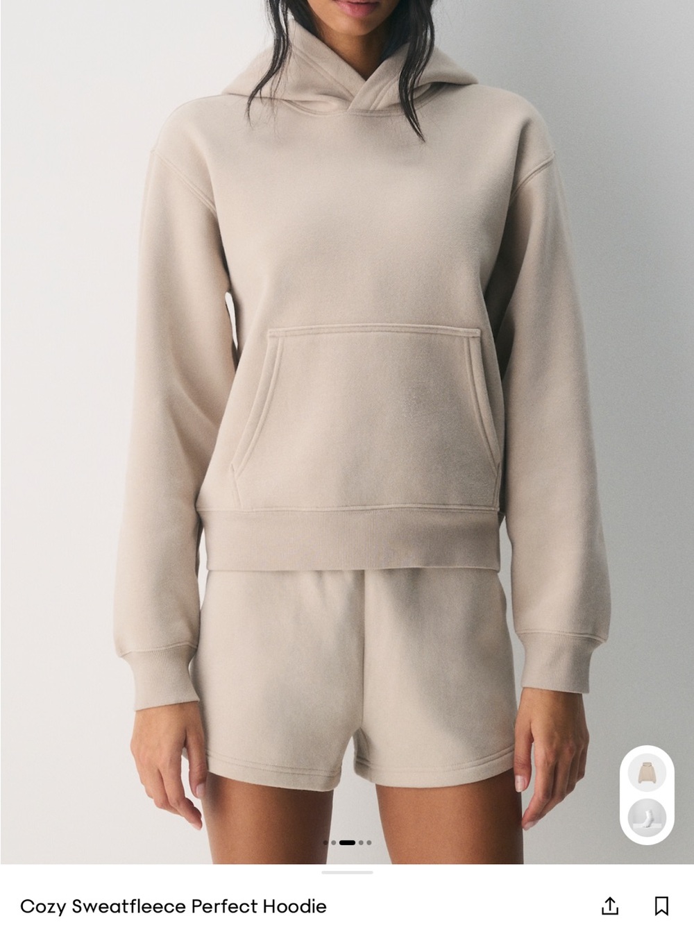 NWT Aritzia Cozy Sweatfleece Perfect Hoodie